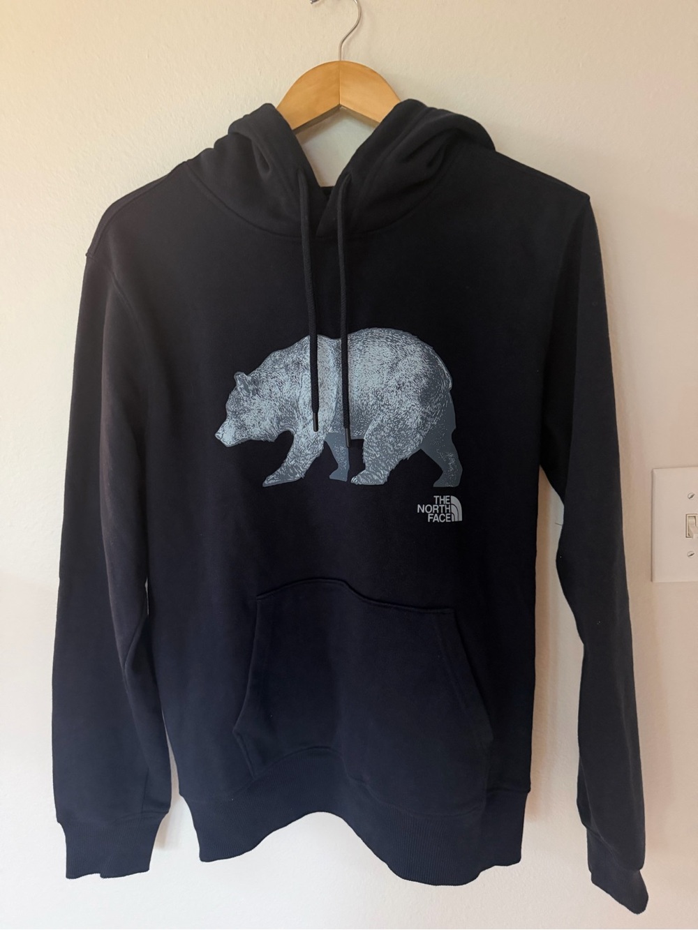 The North Face Men's navy Hoodie with Bear Graphic